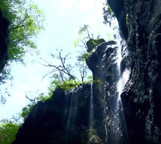 青山綠水，白龍江畔江畔息白鷺，兩岸綠橄欖入眼的都是純樸自然枝上花開(kāi)，春來(lái)水暖魚(yú)蝦戲水，鳥(niǎo)語(yǔ)花香心中充滿(mǎn)著舒暢之感祥宇生態(tài)產(chǎn)業(yè)園，位于隴南市武..